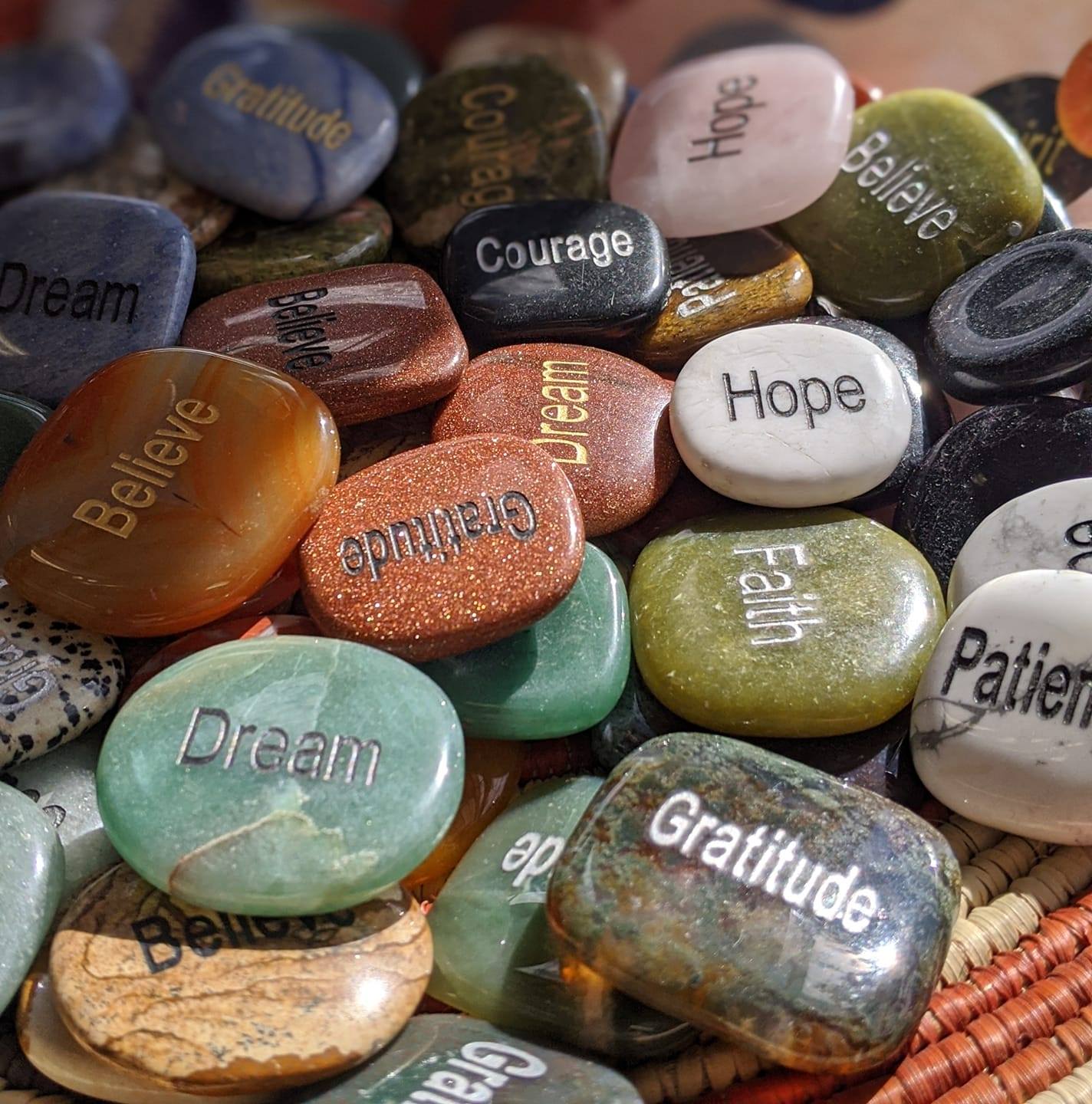 Dixie Rocks & Fossils St. UT Southern Utah Local