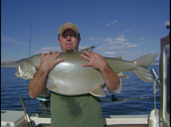 Flashy Fish Lures logo