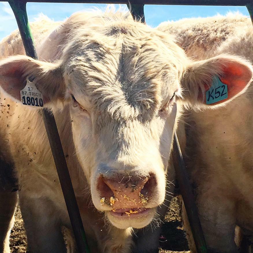 Orton Farm Center Panguitch, UT Southern Utah Local