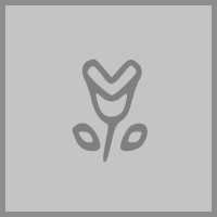 Desert Rose Florist logo